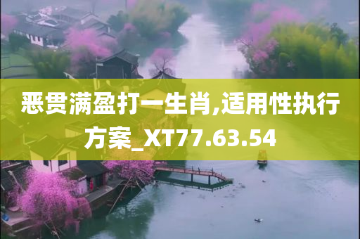 恶贯满盈打一生肖,适用性执行方案_XT77.63.54