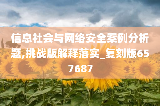 信息社会与网络安全案例分析题,挑战版解释落实_复刻版657687