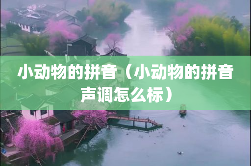 小动物的拼音（小动物的拼音声调怎么标）