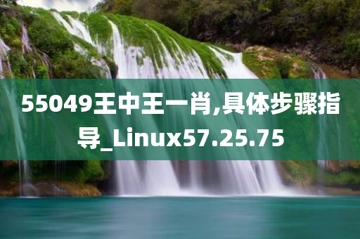 55049王中王一肖,具体步骤指导_Linux57.25.75