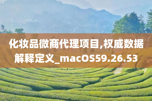 化妆品微商代理项目,权威数据解释定义_macOS59.26.53