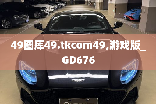 49图库49.tkcom49,游戏版_GD676