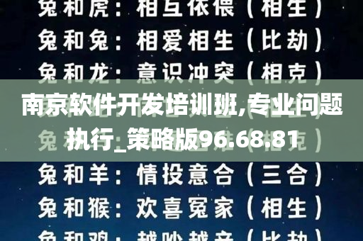 南京软件开发培训班,专业问题执行_策略版96.68.81