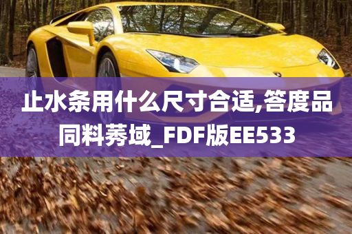 止水条用什么尺寸合适,答度品同料莠域_FDF版EE533