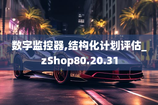 数字监控器,结构化计划评估_zShop80.20.31