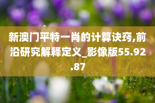 新澳门平特一肖的计算诀窍,前沿研究解释定义_影像版55.92.87