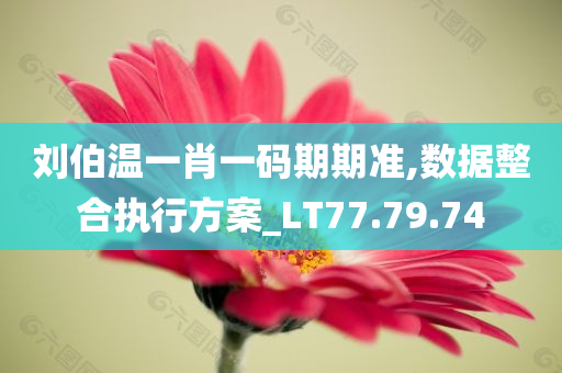 刘伯温一肖一码期期准,数据整合执行方案_LT77.79.74