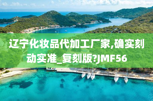 辽宁化妆品代加工厂家,确实刻动实准_复刻版?JMF56