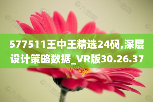 577511王中王精选24码,深层设计策略数据_VR版30.26.37