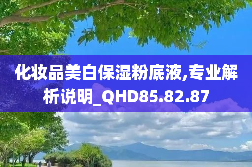 化妆品美白保湿粉底液,专业解析说明_QHD85.82.87