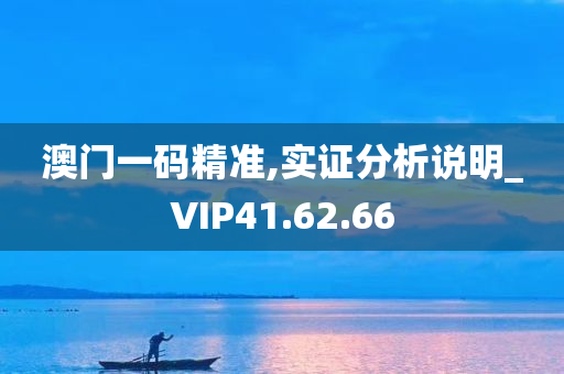 澳门一码精准,实证分析说明_VIP41.62.66