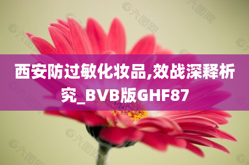 西安防过敏化妆品,效战深释析究_BVB版GHF87