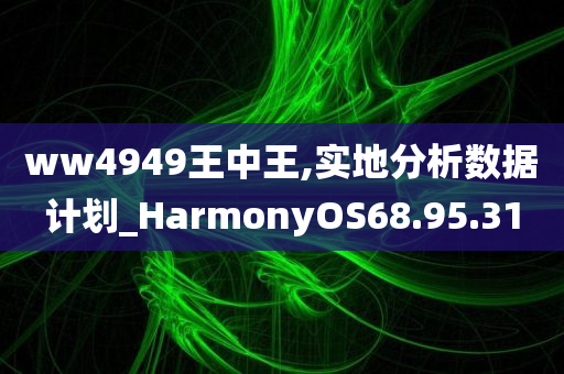 ww4949王中王,实地分析数据计划_HarmonyOS68.95.31