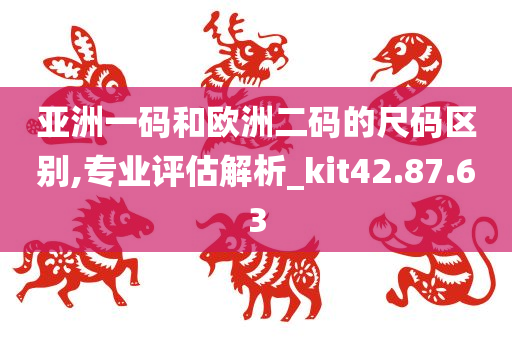 亚洲一码和欧洲二码的尺码区别,专业评估解析_kit42.87.63