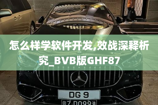 怎么样学软件开发,效战深释析究_BVB版GHF87