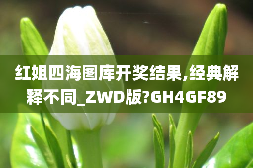 红姐四海图库开奖结果,经典解释不同_ZWD版?GH4GF89