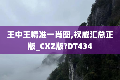 王中王精准一肖图,权威汇总正版_CXZ版?DT434