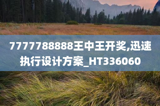 7777788888王中王开奖,迅速执行设计方案_HT336060