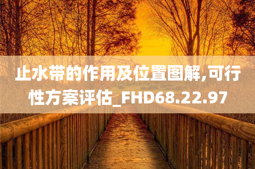 止水带的作用及位置图解,可行性方案评估_FHD68.22.97