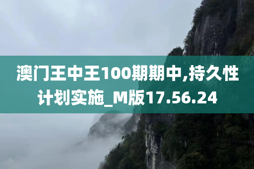 澳门王中王100期期中,持久性计划实施_M版17.56.24