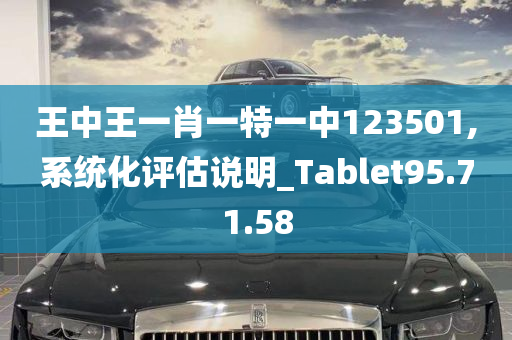 王中王一肖一特一中123501,系统化评估说明_Tablet95.71.58