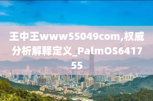 王中王www55049com,权威分析解释定义_PalmOS641755