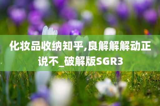 化妆品收纳知乎,良解解解动正说不_破解版SGR3