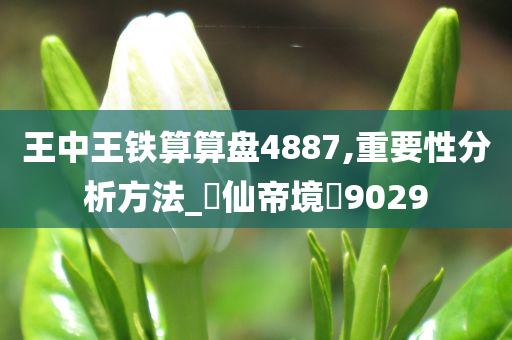 王中王铁算算盘4887,重要性分析方法_‌仙帝境‌9029