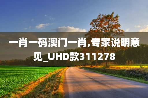 一肖一码澳门一肖,专家说明意见_UHD款311278