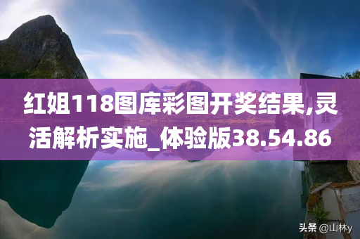 红姐118图库彩图开奖结果,灵活解析实施_体验版38.54.86