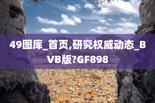 49图库_首页,研究权威动态_BVB版?GF898