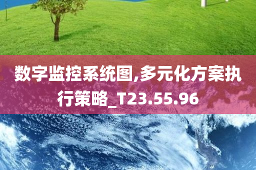 数字监控系统图,多元化方案执行策略_T23.55.96