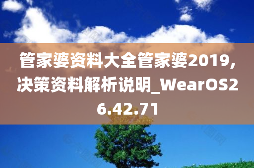 管家婆资料大全管家婆2019,决策资料解析说明_WearOS26.42.71