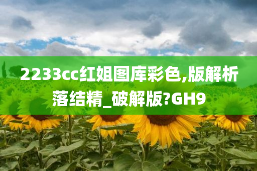 2233cc红姐图库彩色,版解析落结精_破解版?GH9