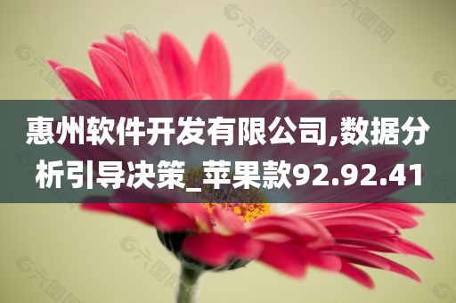 惠州软件开发有限公司,数据分析引导决策_苹果款92.92.41