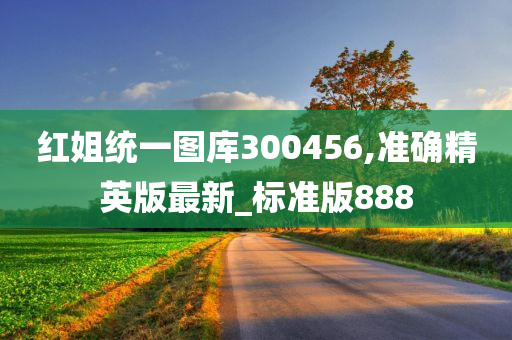 红姐统一图库300456,准确精英版最新_标准版888