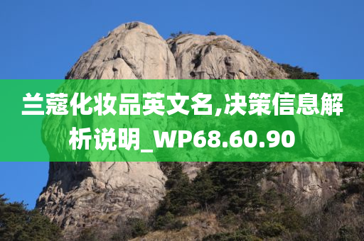 兰蔻化妆品英文名,决策信息解析说明_WP68.60.90