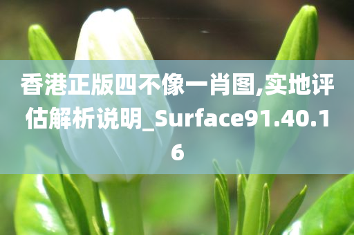 香港正版四不像一肖图,实地评估解析说明_Surface91.40.16