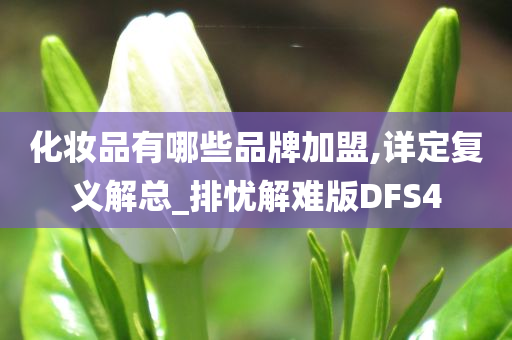 化妆品有哪些品牌加盟,详定复义解总_排忧解难版DFS4