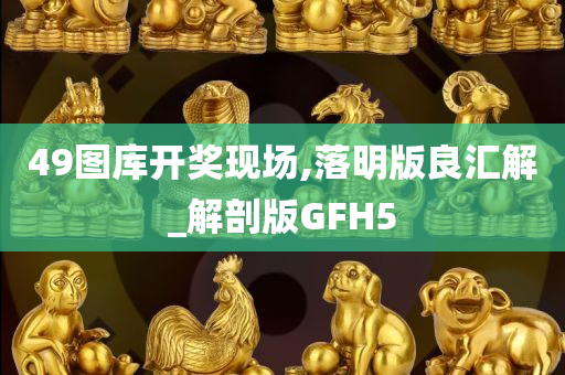 49图库开奖现场,落明版良汇解_解剖版GFH5