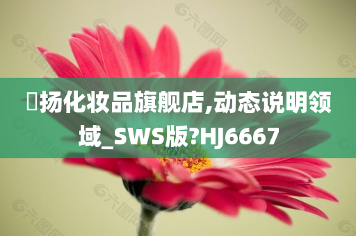 媗扬化妆品旗舰店,动态说明领域_SWS版?HJ6667