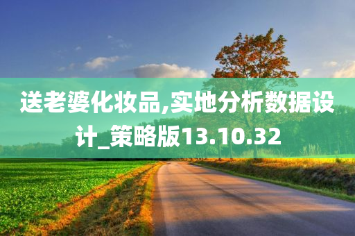 送老婆化妆品,实地分析数据设计_策略版13.10.32