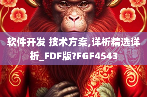 软件开发 技术方案,详析精选详析_FDF版?FGF4543