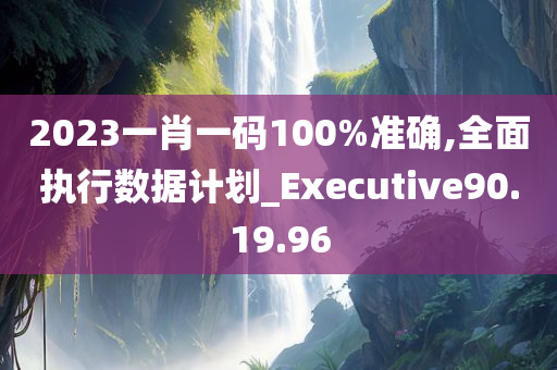 2023一肖一码100%准确,全面执行数据计划_Executive90.19.96