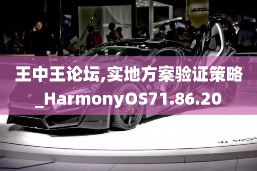 王中王论坛,实地方案验证策略_HarmonyOS71.86.20