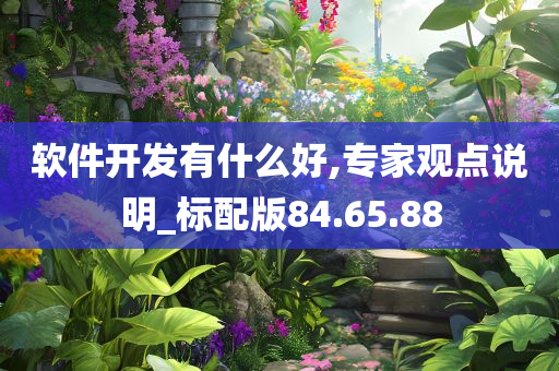 软件开发有什么好,专家观点说明_标配版84.65.88