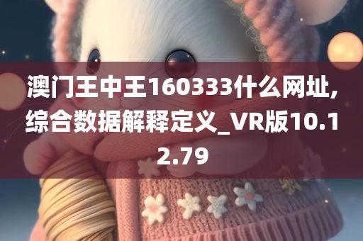 澳门王中王160333什么网址,综合数据解释定义_VR版10.12.79