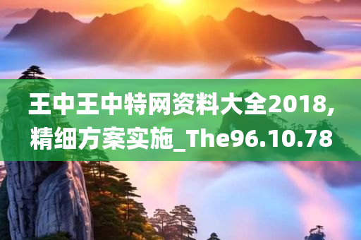 王中王中特网资料大全2018,精细方案实施_The96.10.78