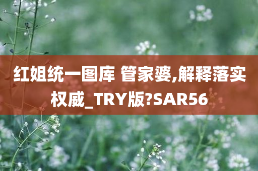 红姐统一图库 管家婆,解释落实权威_TRY版?SAR56