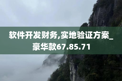 软件开发财务,实地验证方案_豪华款67.85.71